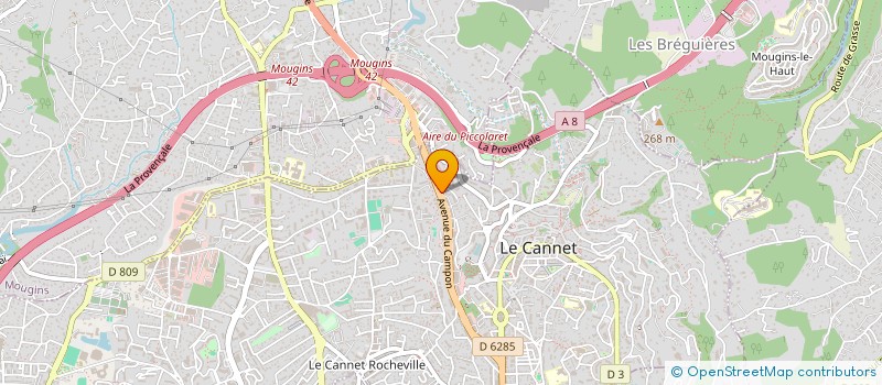 localisation de l'entreprise MADAME GABRIELLE GOLDENBERG à LE CANNET