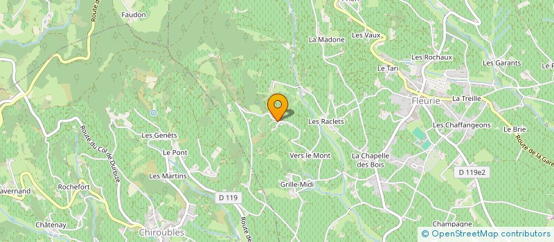 localisation de l'entreprise MADAME GABRIELLE JUILLARD à FLEURIE