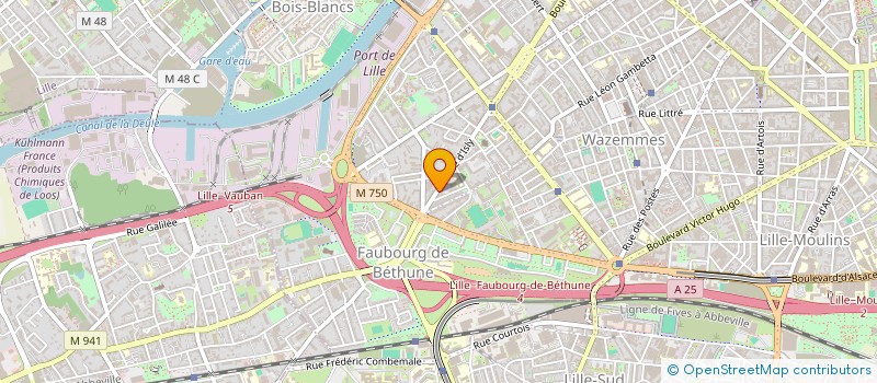 localisation de l'entreprise MADAME GABRIELLE PIGNON à LILLE