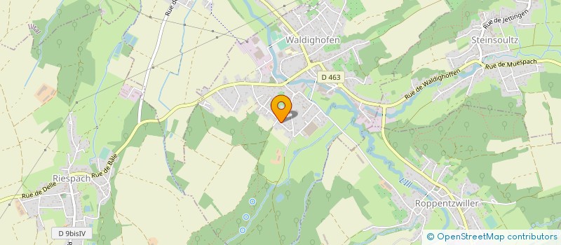 localisation de l'entreprise MADAME GABRIELLE SCHRUTT  WALDIGHOFEN