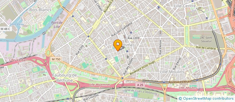 localisation de l'entreprise MADAME GAELLE ARNAUD à LILLE