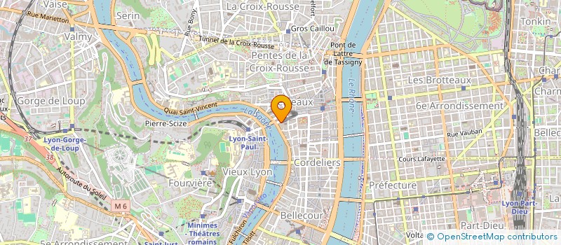 localisation de l'entreprise MADAME GAELLE BRISSAUD à LYON