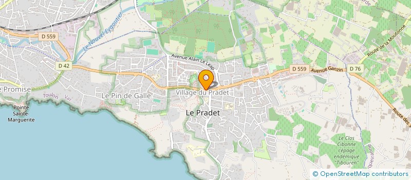 localisation de l'entreprise MADAME GAELLE CAVACAS  LE PRADET