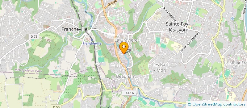 localisation de l'entreprise MADAME GAELLE CHIGNEC  SAINTE-FOY-LES-LYON