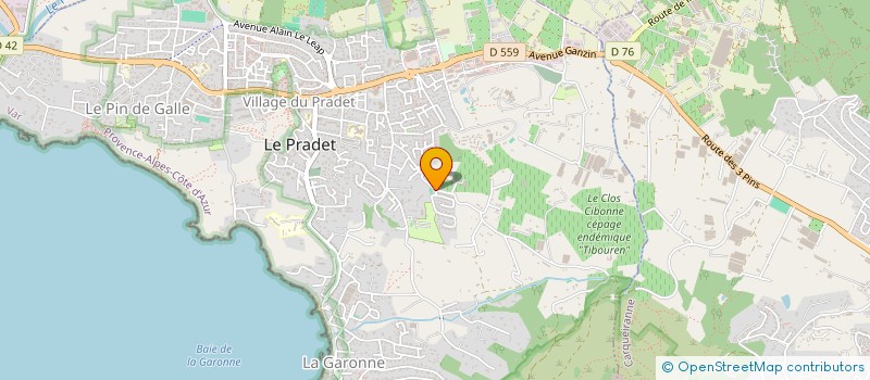 localisation de l'entreprise MADAME GAELLE DARNIS  LE PRADET