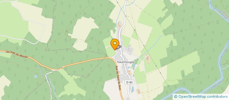 localisation de l'entreprise MADAME GAELLE DURIEUX  LA VOGE-LES-BAINS