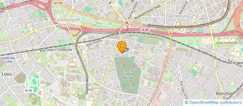 localisation de l'entreprise MADAME GAELLE LASKOWSKI  LES BELLEVILLE