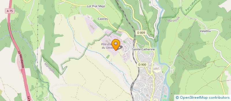 localisation de l'entreprise MADAME GAELLE MANSILLON  LES SALCES