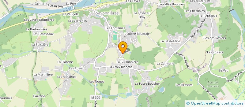 localisation de l'entreprise MADAME GAELLE PAUMARD  SAVONNIERES