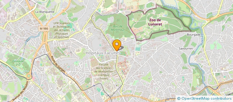 localisation de l'entreprise MADAME GAELLE ROSAZZA à MONTPELLIER