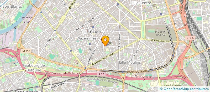 localisation de l'entreprise MADAME GAELLE TRECCANI-SEMINEL à LILLE