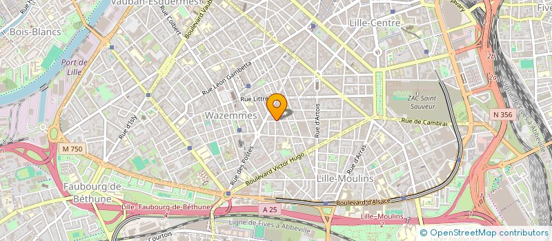 localisation de l'entreprise MADAME GAVRIELA GAZI à LILLE