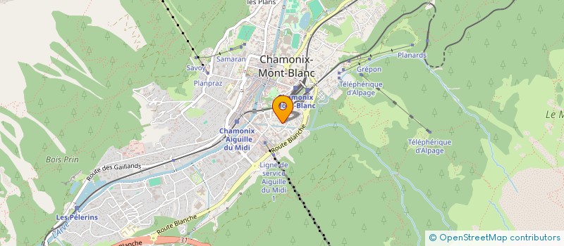 localisation de l'entreprise MADAME GAYLE RICHARDSON à CHAMONIX-MONT-BLANC