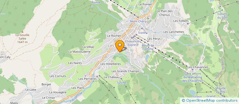 localisation de l'entreprise MADAME GEMMA SCHOODERWOERD  LES GETS