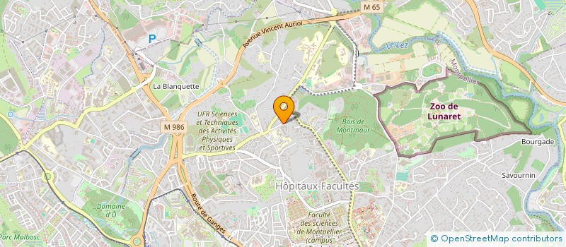 localisation de l'entreprise MADAME GENEVIEVE CRASTRE à MONTPELLIER