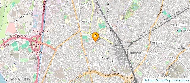 localisation de l'entreprise MADAME GENEVIEVE DEMEREAU à TOULOUSE