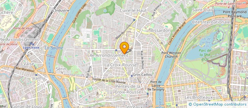 localisation de l'entreprise MADAME GENEVIEVE FAURE  LYON