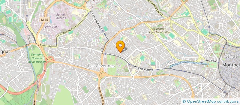 localisation de l'entreprise MADAME GENEVIEVE MAURIZI à MONTPELLIER