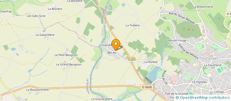 localisation de l'entreprise MADAME GENEVIEVE PESME  POUZAUGES