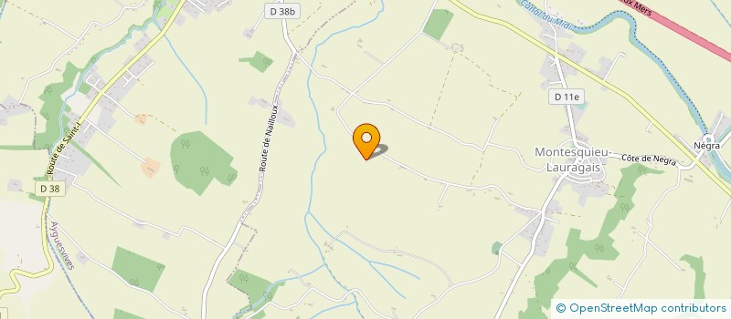 localisation de l'entreprise MADAME GENEVIEVE RECOCHE  MONTESQUIEU-LAURAGAIS