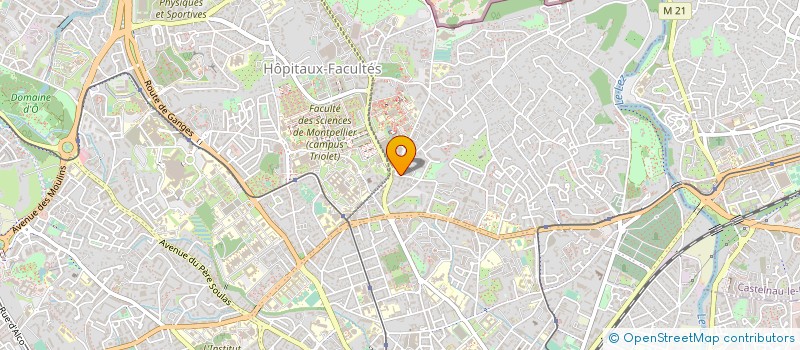 localisation de l'entreprise MADAME GENEVIEVE RIERE à MONTPELLIER
