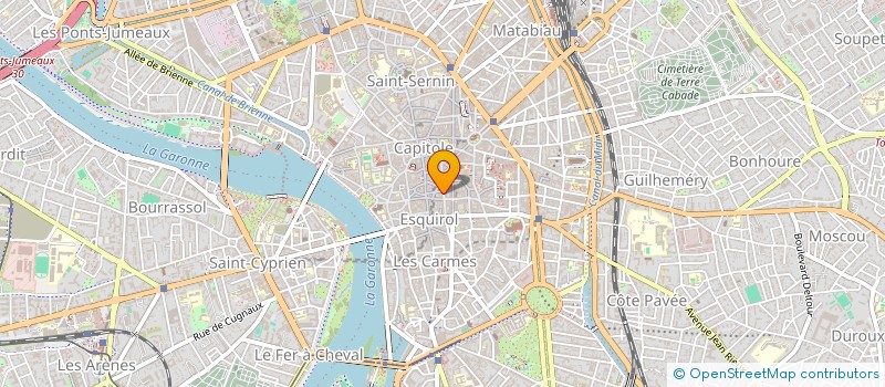 localisation de l'entreprise MADAME GENEVIEVE SAHUC à TOULOUSE