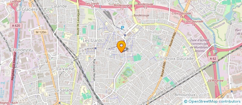 localisation de l'entreprise MADAME GENEVIEVE TOGNON à TOULOUSE