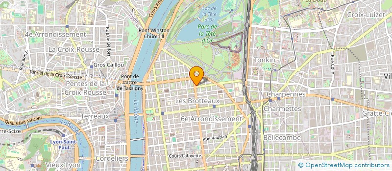 localisation de l'entreprise MADAME GENEVIEVE VILLARD  LYON