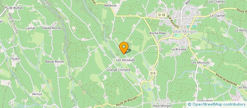 localisation de l'entreprise MADAME GEORGES DUTHEL à VILLIE-MORGON