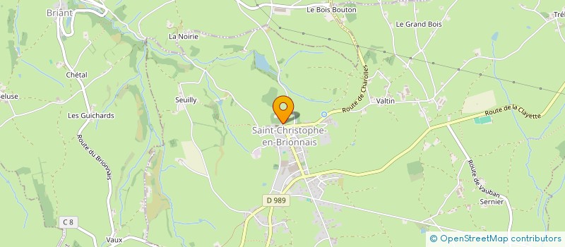 localisation de l'entreprise MADAME GEORGETTE ALLOIN  SAINT-LAURENT-EN-BRIONNAIS