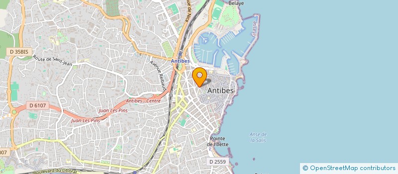 localisation de l'entreprise MADAME GEORGETTE CAVERZAN à ANTIBES