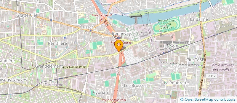 localisation de l'entreprise MADAME GEORGIANA BREAZU  VILLEURBANNE