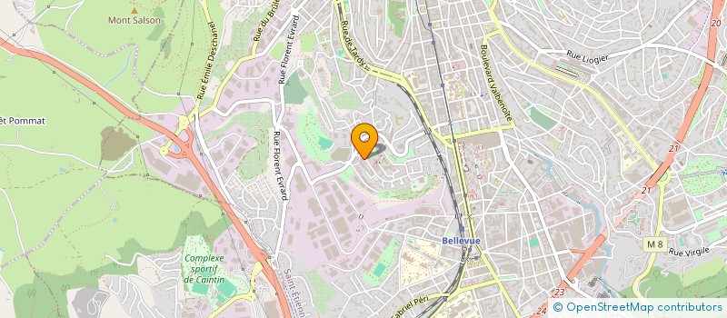 localisation de l'entreprise MADAME GEORGIANA CARAIMAN  SAINT-ETIENNE