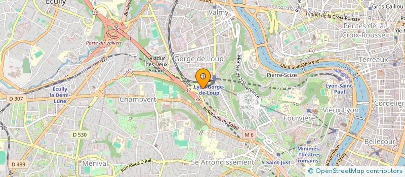 localisation de l'entreprise MADAME GEORGINA MENGUE MEGNER  LYON