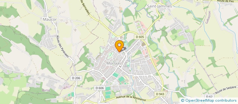 localisation de l'entreprise MADAME GEORGINA NICOLAS  MORLAAS