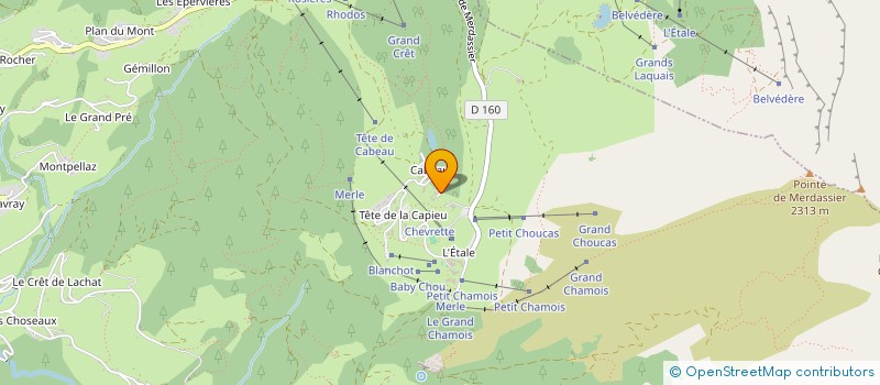 localisation de l'entreprise MADAME GERALDINE BLANC  MANIGOD