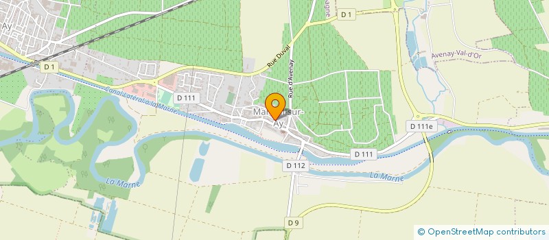 localisation de l'entreprise MADAME GERALDINE COGNETTE  AY-CHAMPAGNE