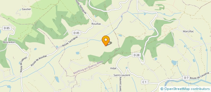 localisation de l'entreprise MADAME GERALDINE DAVID  MONTCUQ-EN-QUERCY-BLANC