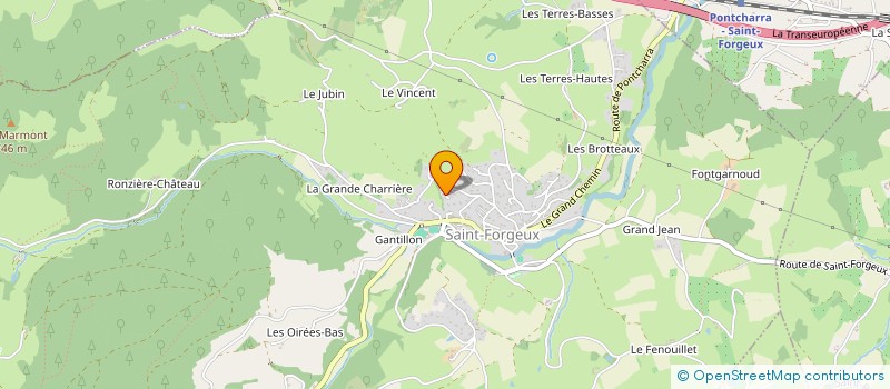 localisation de l'entreprise MADAME GERALDINE DUCLOS  SAINT-FORGEUX