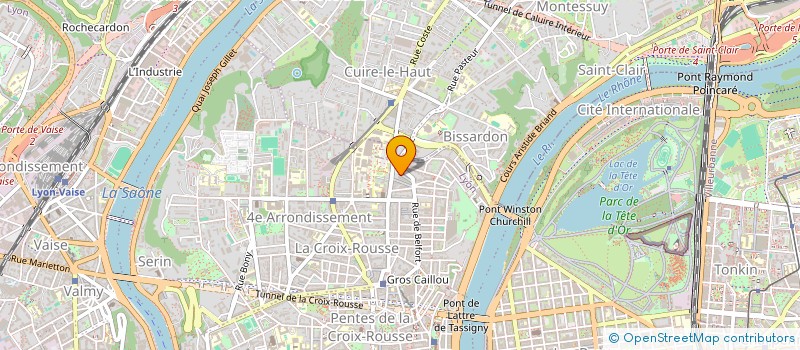 localisation de l'entreprise MADAME GERALDINE MOULIN  LYON