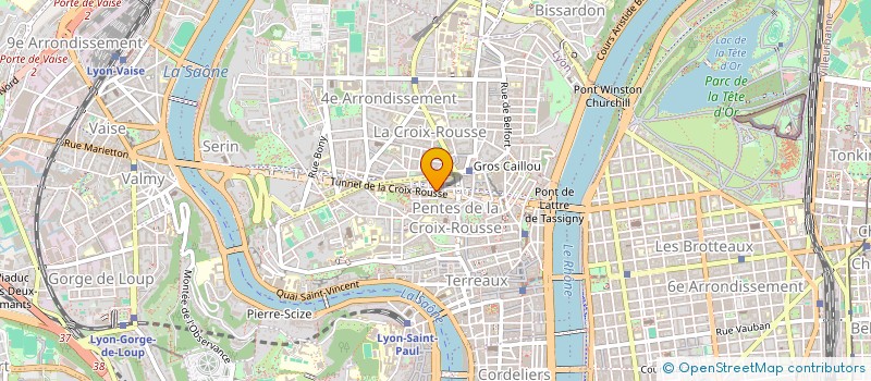 localisation de l'entreprise MADAME GERALDINE PIHEN à LYON