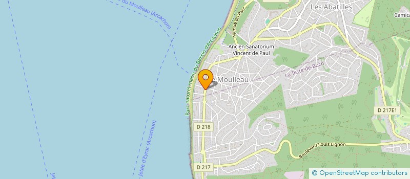 localisation de l'entreprise MADAME GERALDINE ROUSSEAU  ARCACHON