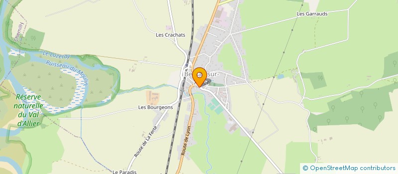 localisation de l'entreprise MADAME GERALDINE RUTHON  BESSAY-SUR-ALLIER