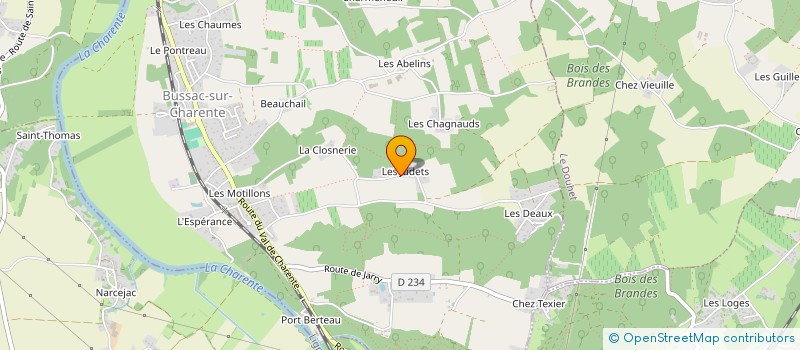 localisation de l'entreprise MADAME GERALDINE STROHL  BUSSAC-SUR-CHARENTE