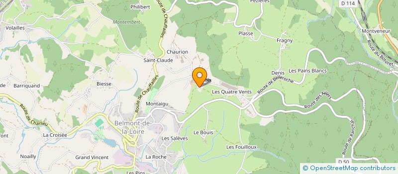 localisation de l'entreprise MADAME GERALDINE VALLAS  BELMONT-DE-LA-LOIRE