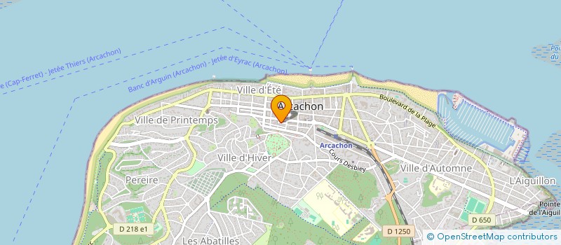 localisation de l'entreprise MADAME GERMAINE DAMADAA  ARCACHON