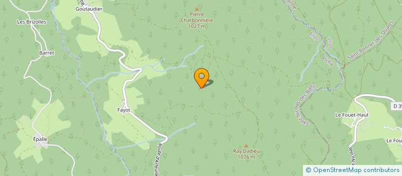 localisation de l'entreprise MADAME GERMAINE DESORMIERE  SAINT-NICOLAS-DES-BIEFS