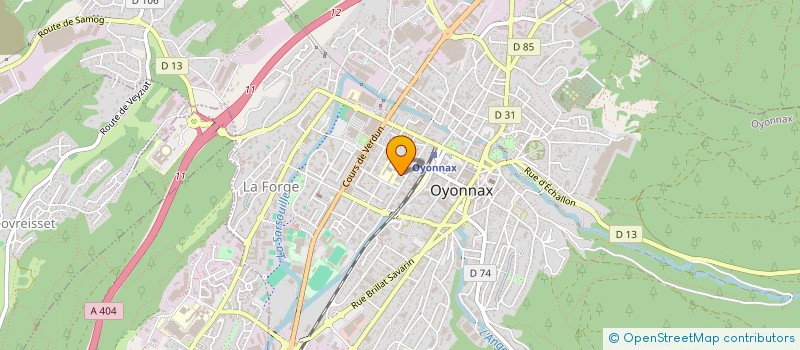 localisation de l'entreprise MADAME GESMA ESCRIBANO RUIZ à OYONNAX