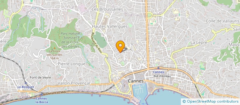 localisation de l'entreprise MADAME GHEORGHINA OLENICI à CANNES