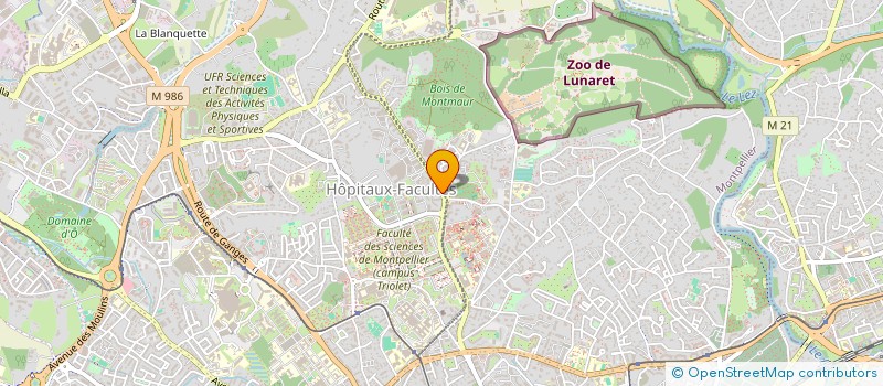 localisation de l'entreprise MADAME GHISLAINE ARNAUD à MONTPELLIER